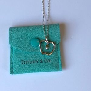 Tiffany & Co. Jewelry - Tiffany Elsa Peretti Apple Pendant Necklace Tiffany & Co. Jewelry - Tiffany Elsa Peretti Apple Pendant Necklace